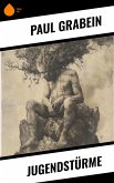 Jugendstürme (eBook, ePUB)