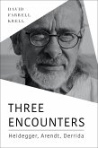 Three Encounters (eBook, ePUB)