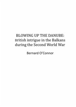 Blowing up the Danube (eBook, ePUB) - O'Connor, Bernard