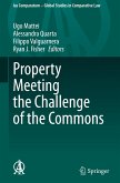Property Meeting the Challenge of the Commons