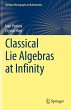 Classical Lie Algebras at Infinity - Bild 1