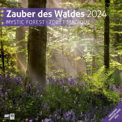 Cover Zauber des Waldes Kalender 2024 - 30x30