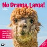No Drama, Lama! Kalender 2024 - 30x30 - Bild 1