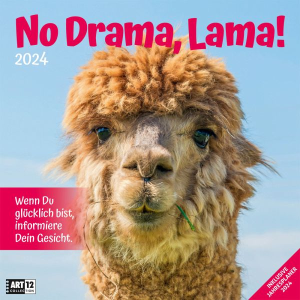 No Drama, Lama! Kalender 2024 - 30x30