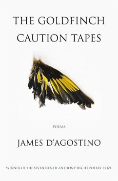 The Goldfinch Caution Tapes - D'Agostino, James