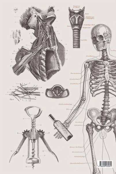 Vinos : el análisis sensorial del vino Vinos : el análisis sensorial del vino