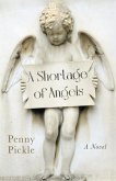 Shortage of Angels, A