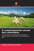 O comportamento sexual dos camelídeos