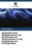 Geoelektrische Bildgebung für die Kartierung von Sickerwasser in der Umgebung von Sickergruben