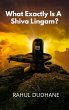 What Exactly Is A Shiva Lingam? (eBook,... - Bild 1
