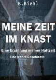 Meine Zeit im Knast - Eine Erzählung meiner Haftzeit (eBook, ePUB)