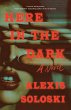 Here in the Dark (eBook, ePUB) - Bild 1