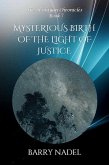 Mysterious Birth of the Light of Justice (Hoshiyan Chronicles, #7) (eBook, ePUB) Mysterious Birth of the Light of Justice (Hoshiyan Chronicles, #7) (eBook, ePUB)