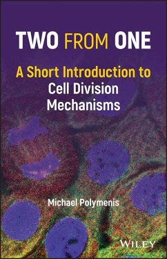 Two from One (eBook, ePUB) - Polymenis, Michael