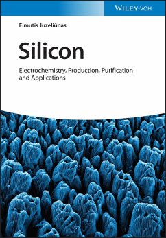 Cover Silicon (eBook, ePUB)