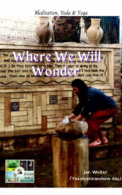 Where We Will Wonder (eBook, ePUB) - Wolter, Jan