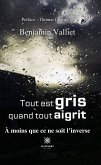 Tout est gris quand tout aigrit (eBook, ePUB)