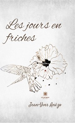 Les jours en friches (eBook, ePUB) - Anézo, Jean-Yves