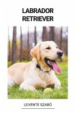 Labrador Retriever Labrador Retriever