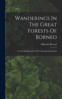 Cover Wanderings In The Great Forests Of Borneo