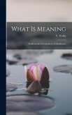 What is Meaning: Studies in the Development of Significance