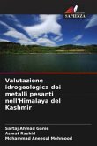 Valutazione idrogeologica dei metalli pesanti nell'Himalaya del Kashmir