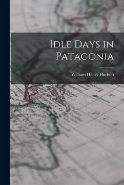 Cover Idle Days in Patagonia
