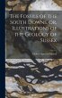 The Fossils of the South Downs, or,... - Bild 1
