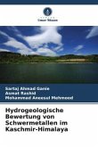 Hydrogeologische Bewertung von Schwermetallen im Kaschmir-Himalaya