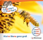 Lesestart mit Eberhart: Kleine Biene ganz groß