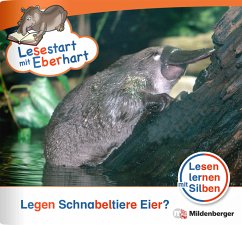 Lesestart mit Eberhart: Legen Schnabeltiere Eier? - Drecktrah, Stefanie;Brandau, Nicole