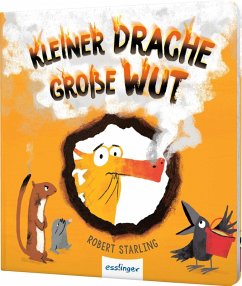 Kleiner Drache, große Wut / Kleiner Drache Finn Bd.1  - Starling, Robert