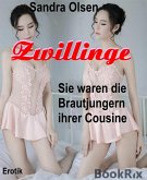 Zwillinge (eBook, ePUB)