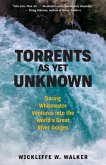 Torrents As Yet Unknown (eBook, ePUB)