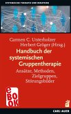 Handbuch der systemischen Gruppentherapie (eBook, ePUB)