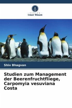 Studien zum Management der Beerenfruchtfliege, Carpomyia vesuviana Costa - Bhagvan, Shiv