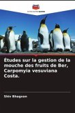 Études sur la gestion de la mouche des fruits de Ber, Carpomyia vesuviana Costa.