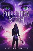 Forgotten Storm (Storm Series, #1) (eBook, ePUB)