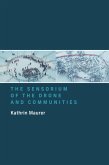 The Sensorium of the Drone and Communities (eBook, ePUB)