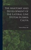 The Anatomy and Development of the Lateral Line System in Amia Calva