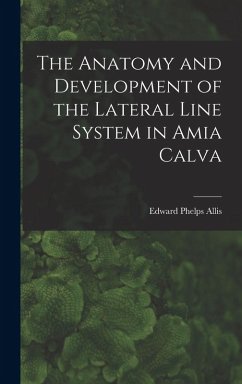 The Anatomy and Development of the Lateral Line System in Amia Calva - Allis, Edward Phelps