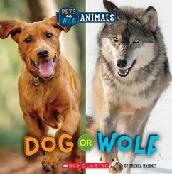 Dog or Wolf (Wild World: Pets and Wild Animals) - Maloney, Brenna