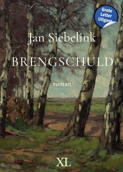 Brengschuld - Siebelink, Jan