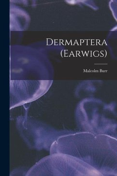Cover Dermaptera (Earwigs)