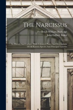 Cover The Narcissus