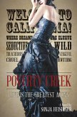 Poverty Creek (The Liberty Hill Series, #2) (eBook, ePUB)