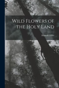 Wild Flowers of the Holy Land - Zeller, Hannah