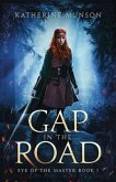 Gap in the Road (eBook, ePUB)