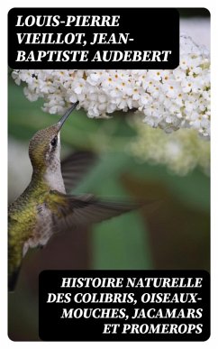 Histoire naturelle des colibris, oiseaux-mouches, jacamars et promerops (eBook, ePUB) - Vieillot, Louis-Pierre; Audebert, Jean-Baptiste