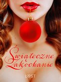 Świąteczne zakochanie – 10 gwiazdkowych opowiadań erotycznych (eBook, ePUB)